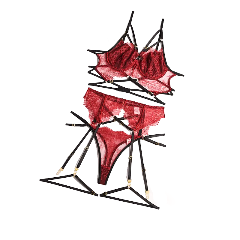 New Lace Sexy Lingerie Transpa - огляд і ціна Sheer Bra Lace